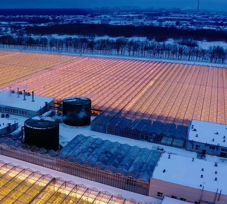 Customization Snow Vibrator Greenhouse for Tomato Planting Request Your Customization