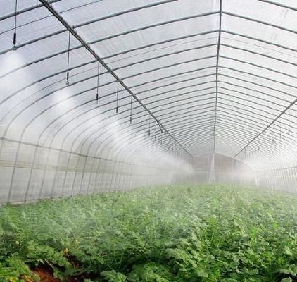 Customization Snow Vibrator Greenhouse for Tomato Planting Request Your Customization