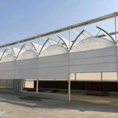 Customization Snow Vibrator Greenhouse for Tomato Planting Request Your Customization