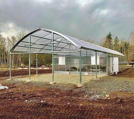 Customization Snow Vibrator Greenhouse for Tomato Planting Request Your Customization