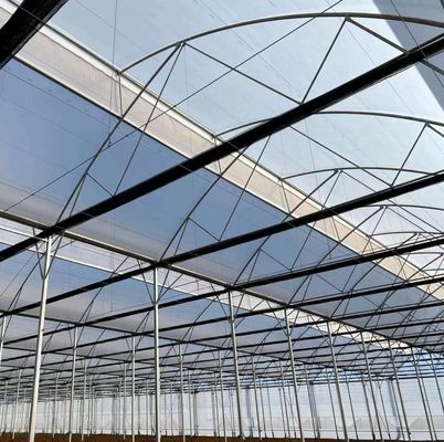 Customization Snow Vibrator Greenhouse for Tomato Planting Request Your Customization