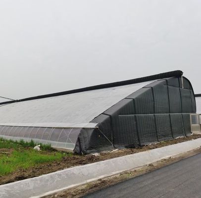 Steel Plastic Double Arch Beam Design Greenhouse For Vegetables