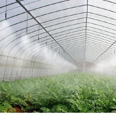 Steel Plastic Double Arch Beam Design Greenhouse For Vegetables