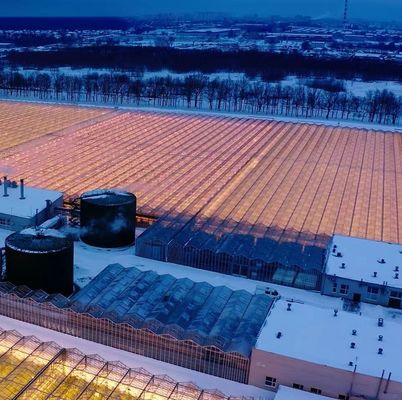 Steel Plastic Double Arch Beam Design Greenhouse For Vegetables