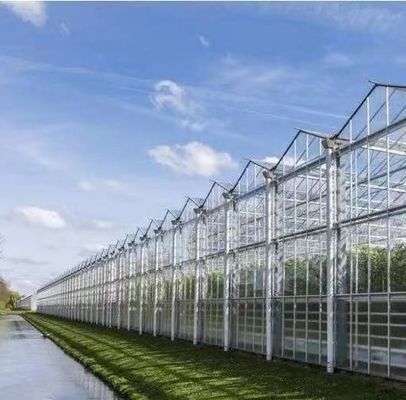 20GP 40GP 40HC Modern Agriculture Sunlight Greenhouse For Vegetables Planting