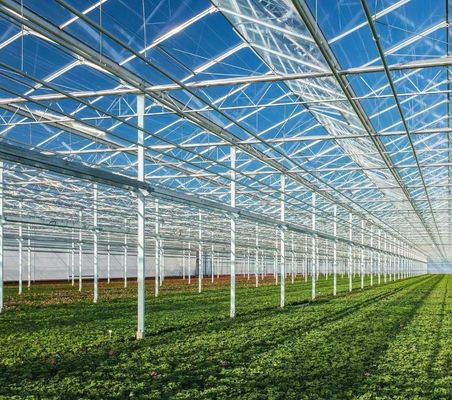 20GP 40GP 40HC Modern Agriculture Sunlight Greenhouse For Vegetables Planting
