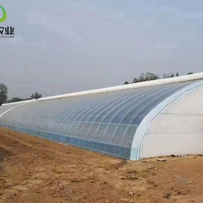 20GP 40GP 40HC Modern Agriculture Sunlight Greenhouse For Vegetables Planting
