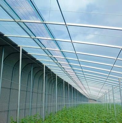 Custom Design and Double Arch Beam Greenhouse for Tomato/Cucumber Growing Large Size