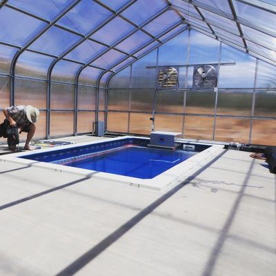 Custom Design and Double Arch Beam Greenhouse for Tomato/Cucumber Growing Large Size