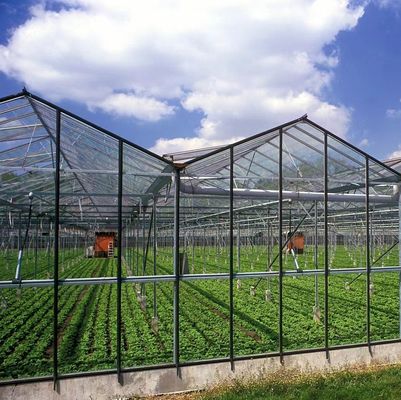 Custom Modern Sunlight Greenhouse Double Layer for Mushroom Planting Requirements
