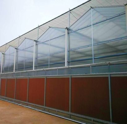 Custom Modern Sunlight Greenhouse Double Layer for Mushroom Planting Requirements