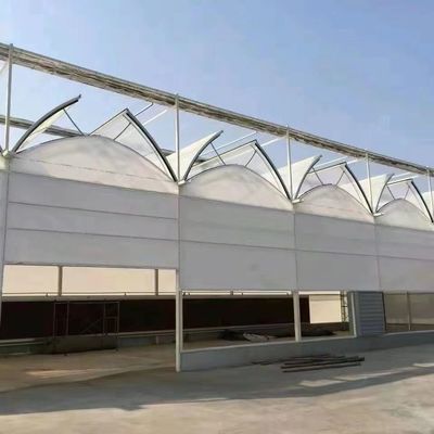 Modern Sunlight Glass Greenhouse with Automatic Irrigation System
