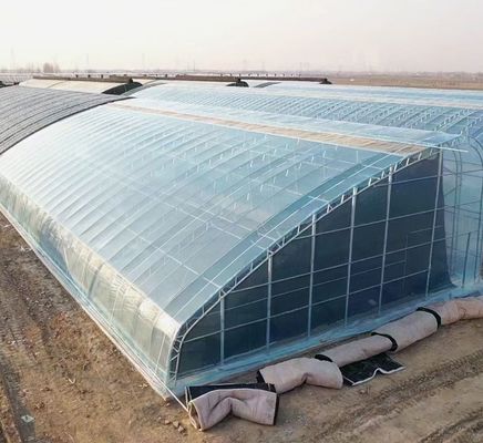 Modern Sunlight Glass Greenhouse with Automatic Irrigation System