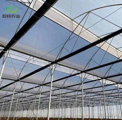 Modern Sunlight Glass Greenhouse with Automatic Irrigation System