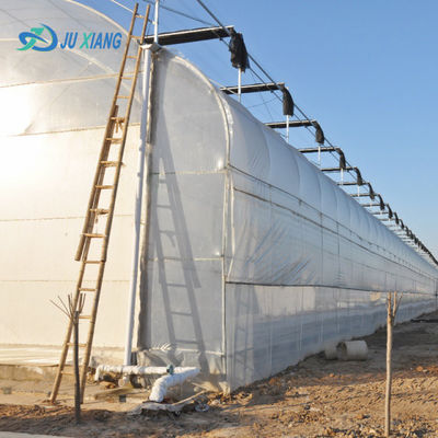 Modern Sunlight Glass Greenhouse with Automatic Irrigation System