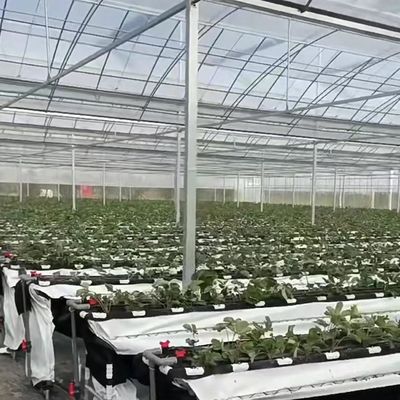 Durable Building Materials Multi-Span Film Greenhouse with Steel Structure