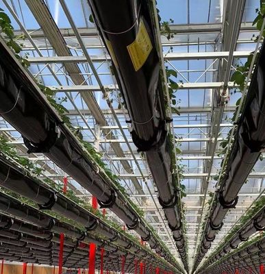 Double Layer Agricultural Intelligent Sunlight Greenhouse with Insect Proof Net