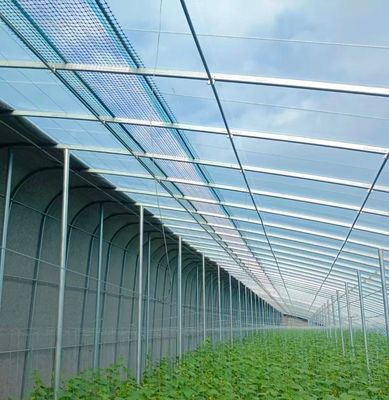 Double Layer Agricultural Intelligent Sunlight Greenhouse with Insect Proof Net