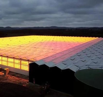 Double Layer Agricultural Intelligent Sunlight Greenhouse with Insect Proof Net