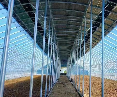 Double Layer Agricultural Intelligent Sunlight Greenhouse with Insect Proof Net