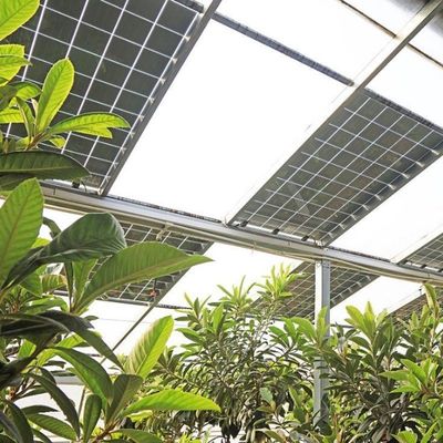 Multi-Span Arch Type PE/Po Plastic Film Photovoltaic Solar Greenhouse for Performance