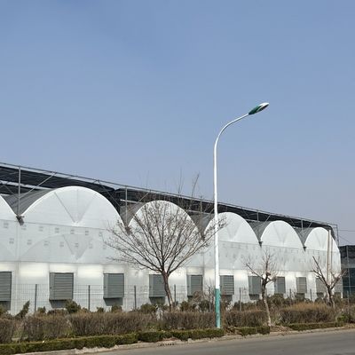 Initial Payment JX-A0050 Water Pipe Agricultural Greenhouse for Vegetable Production