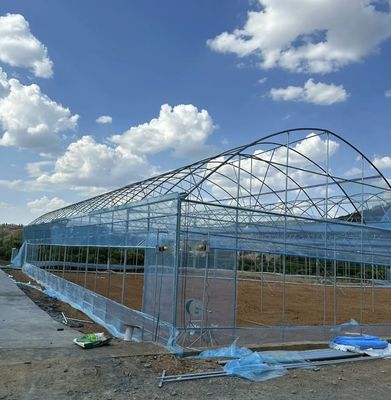 Initial Payment JX-A0050 Water Pipe Agricultural Greenhouse for Vegetable Production