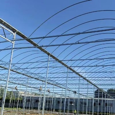 Customized Multi-Span Film Greenhouse for Planting Flowers 30 Day Money Back Guarantee
