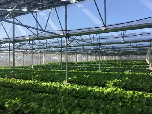 Shipping Cost and Estimated Time for Multi-Span Arch Type Illuminate Solar Greenhouse