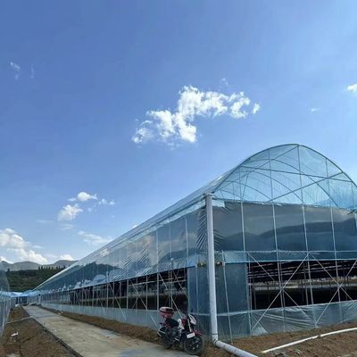 Multi Span Greenhouse with Shading 30 Days Return Refunds Now in Limited Time Offer