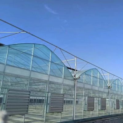 Multi Span Greenhouse with Shading 30 Days Return Refunds Now in Limited Time Offer