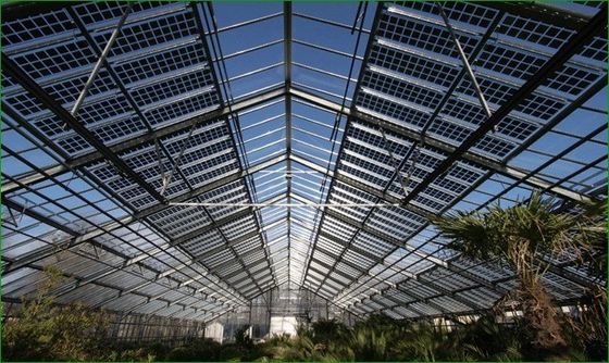 Thermal Insulation Commercial Photovoltaic Greenhouses Customization Option Offered