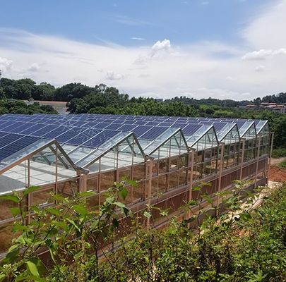 Thermal Insulation Commercial Photovoltaic Greenhouses Customization Option Offered