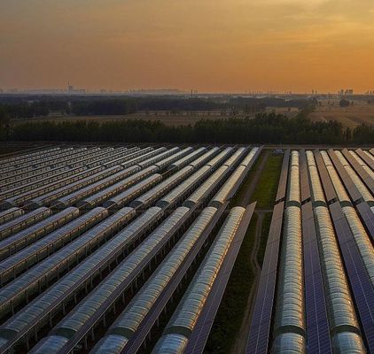 Thermal Insulation Commercial Photovoltaic Greenhouses Customization Option Offered