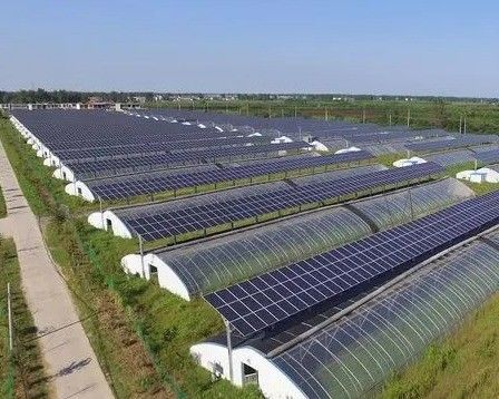 Hydroponics and Soilless Cultivation Multi-Layer Greenhouse jx-SG-6 with Heat Storage