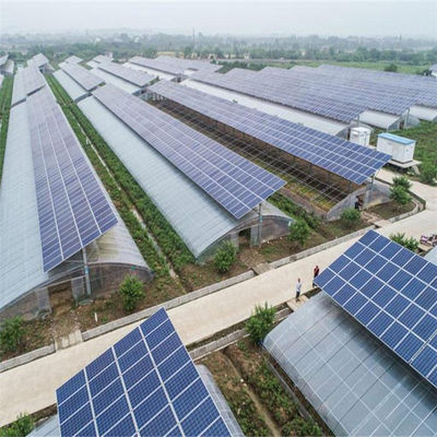 Hydroponics and Soilless Cultivation Multi-Layer Greenhouse jx-SG-6 with Heat Storage