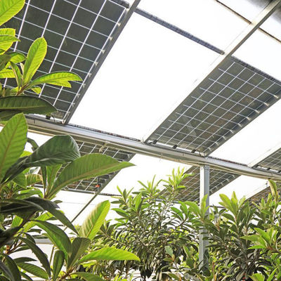 Hydroponics and Soilless Cultivation Multi-Layer Greenhouse jx-SG-6 with Heat Storage