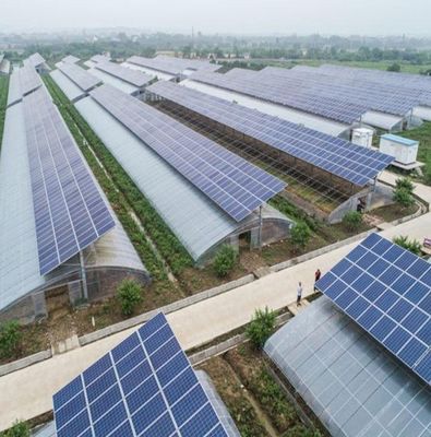 Hydroponics and Soilless Cultivation Multi-Layer Greenhouse jx-SG-6 with Heat Storage