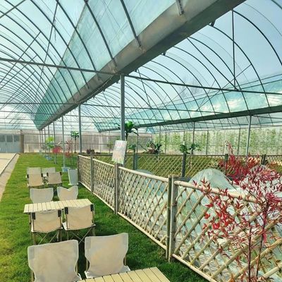 Multi-Span Greenhouse for Hydroponics Growing Samples US 20/Square Meter Currency US