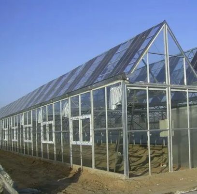 6/9.6/12meters Single/Multi Span Photovoltaic Greenhouses for Country Illuminate Humidity
