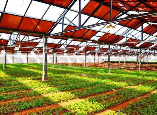 6/9.6/12meters Single/Multi Span Photovoltaic Greenhouses for Country Illuminate Humidity