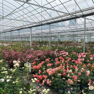 Flexible Multi-Span Greenhouse for Vegetable Production Package Gross Weight 20.000kg