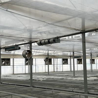 Flexible Multi-Span Greenhouse for Vegetable Production Package Gross Weight 20.000kg