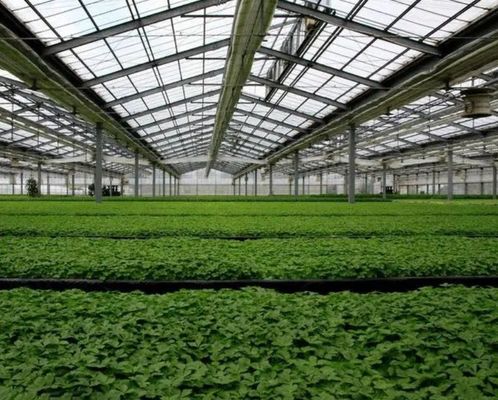 Building Materials Steel Structure Multi-Span Arch Type Photovoltaic Greenhouses jx-SG-9
