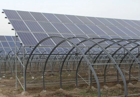 Building Materials Steel Structure Multi-Span Arch Type Photovoltaic Greenhouses jx-SG-9