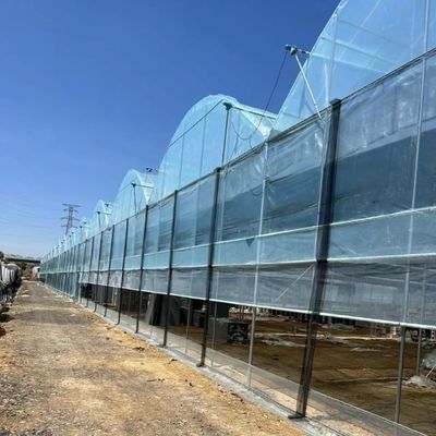 Customized Multi-Span Greenhouse Yield Solution for Hydroponic Vegetable Production