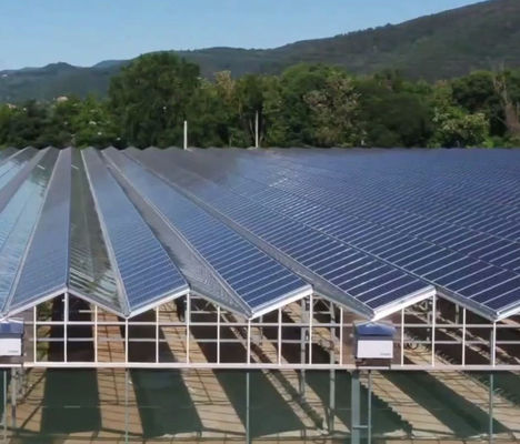 Building Materials Steel Structure Multi-Span Arch Type Photovoltaic Greenhouses jx-SG-9