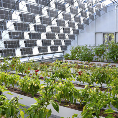 Greenhouse Heat Preservation with Large Capacity Storage and Photovoltaic Panels