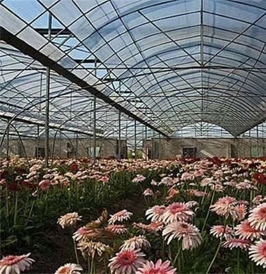 Multi-Span Greenhouse with Advanced Irrigation About Shipping Cost and Delivery Time