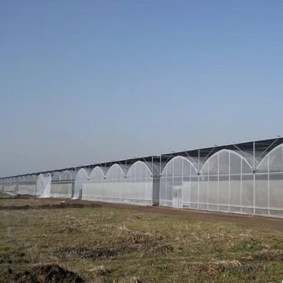 Multi-Span Greenhouse with Advanced Irrigation About Shipping Cost and Delivery Time